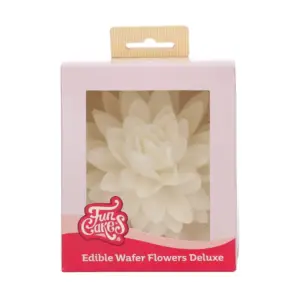 Peony White L - baltas bijūnas - vaflinė gėlė