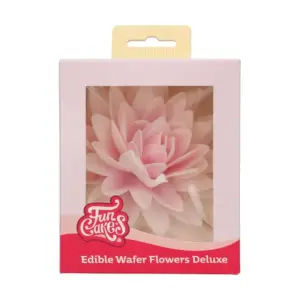 Peony Pink Ombre L - bijūnas - vaflinė gėlė