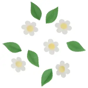 Flowers White - baltos valgomos gėlės su lapeliais, 11 vnt