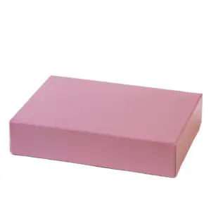 Pink – rožinė dėžutė skanėstams, 23.5 x 16 x 5 cm