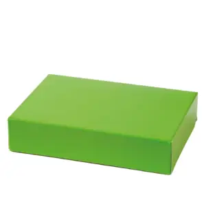 Pistachio – žalia dėžutė skanėstams, 23.5 x 16 x 5 cm