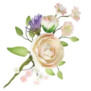 Ranunculus - vedryno puokštė torto puošimui
