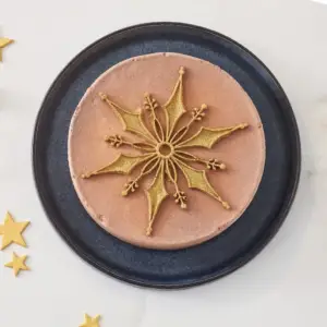 Sparkling Star (Snaigė) - platinos silikono forma
